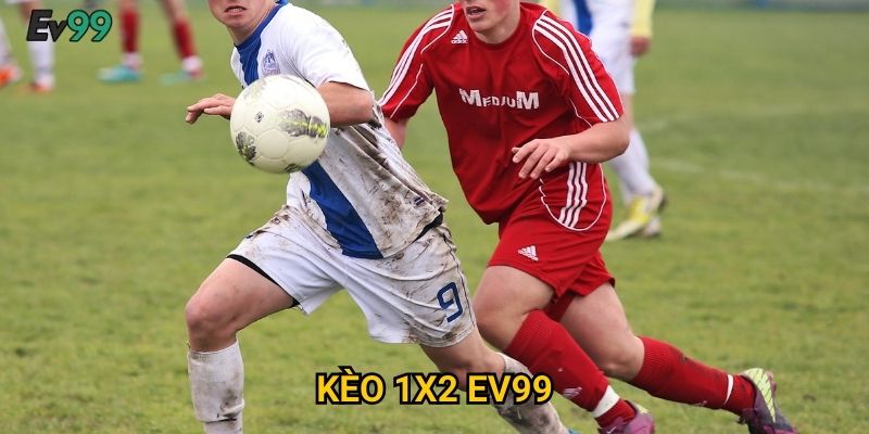 Kèo 1x2 Ev99: Hướng dẫn toàn tập cho người mới bắt đầu