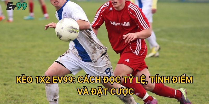 Kèo 1x2 Ev99: Cách đọc tỷ lệ, tính điểm và đặt cược